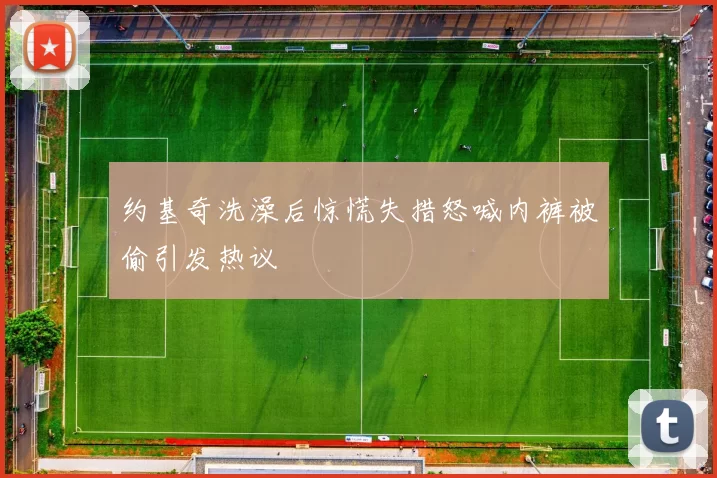 约基奇洗澡后惊慌失措怒喊内裤被偷引发热议
